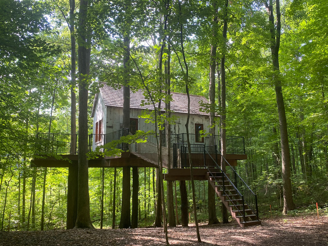 Light Foundation Treehouse